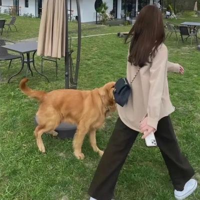 秘语梦境